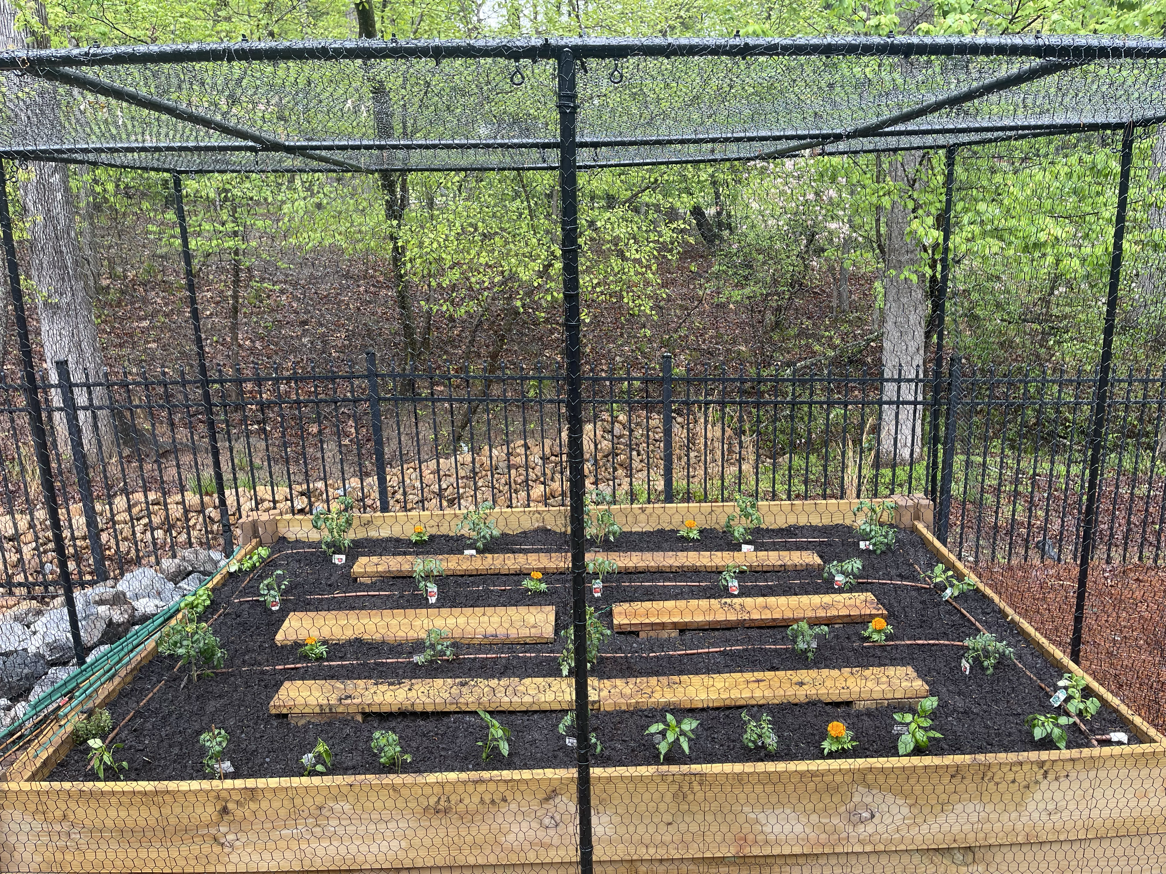 Greenhouse Enclosure View 2